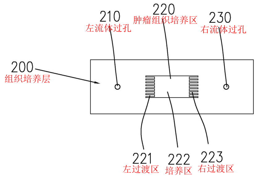 厦门大学杨朝勇、宋彦龄教授团队丨一种微流控芯片中肿瘤组织培养及细胞外囊泡分型分析方法，可分析不同细胞来源的外囊泡 - 微流控信息网